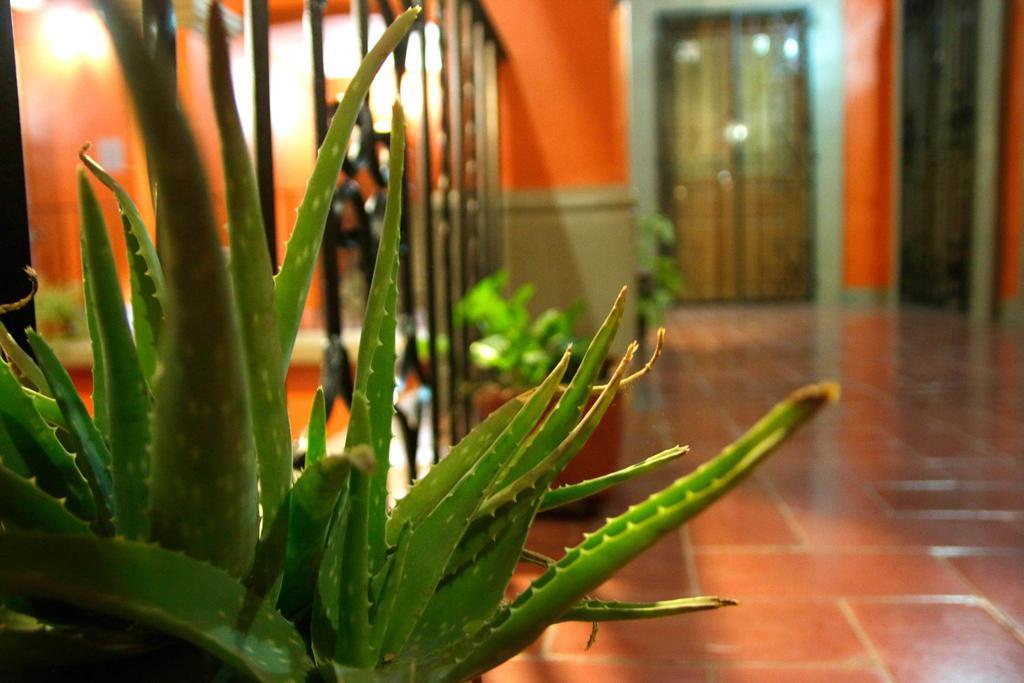 Parador San Fernando Oaxaca Экстерьер фото